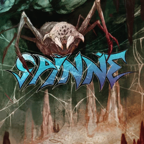Spinne : The Truth Lies